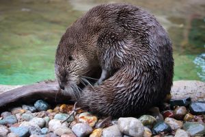 IMG_1242.jpg